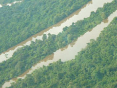 Indiodorf am Amazonasufer - Flug
