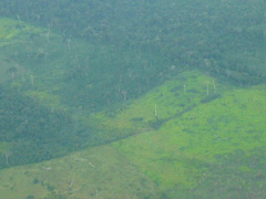 Flug über Amazonas, Regenzeit