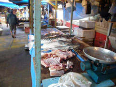 Fischmarkt am Amazonas 2