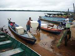 Fischfang: vom Boot zum Markt