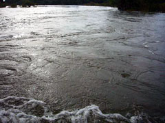 Rio Xingu zur Regenzeit