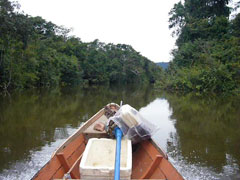 Bootsfahrt Rio Xingu 2
