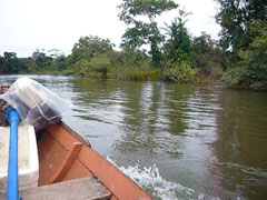 Regenzeit - Bootsfahrt Rio Xingu